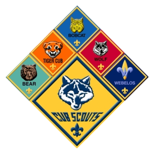 CubScoutsDiamond